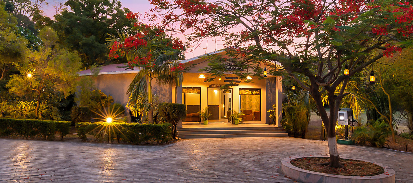 Family-friendly accommodation amidst nature