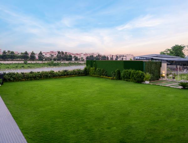 Spacious Lawn